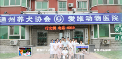 北京爱维动物医院果园环岛店  姚海峰