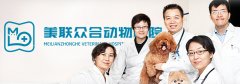 美联众合动物医院联盟 北京加盟分院