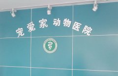 珠海市宠爱家动物医院 医师麦吴炳