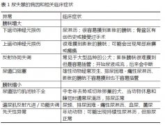 宠物医疗-排尿异常的鉴别诊断