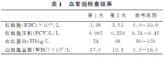 猫血巴尔通体病的诊治病例