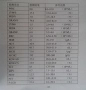 一例疑似内霉素中毒的猫病例分析