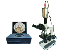 DM-B型 生物视频显微镜（增强型）