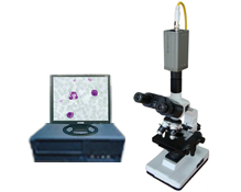 DM-A型  生物视频显微镜（标准型）